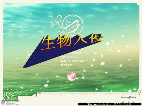 生物入侵-薇甘菊与红火蚁
