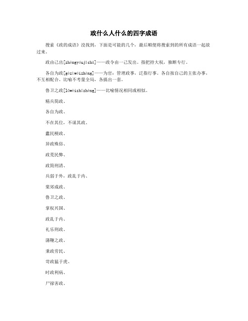 政什么人什么的四字成语