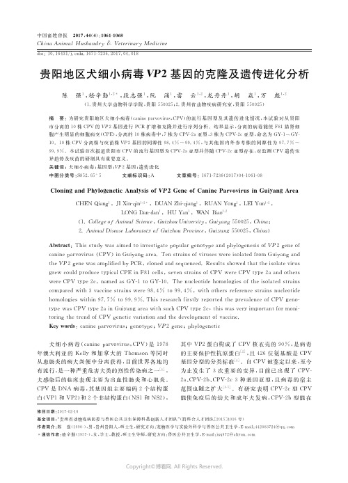 贵阳地区犬细小病毒VP2基因的克隆及遗传进化分析