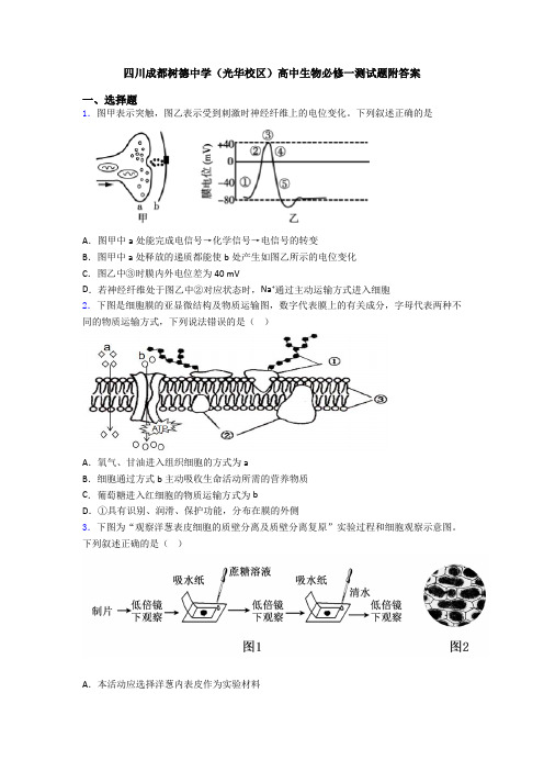 四川成都树德中学(光华校区)高中生物必修一测试题附答案