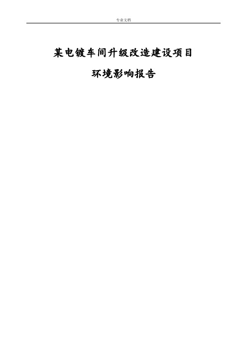 某电镀车间升级改造建设项目环境影响报告