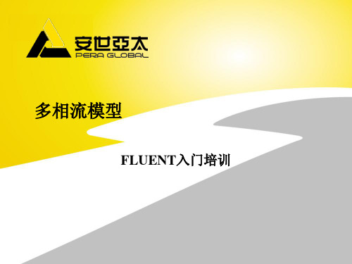 多相流模型 FLUENT入门培训知识讲解