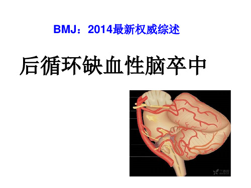 后循环缺血性卒中2014最新权威综述