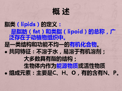 脂类的结构和功能