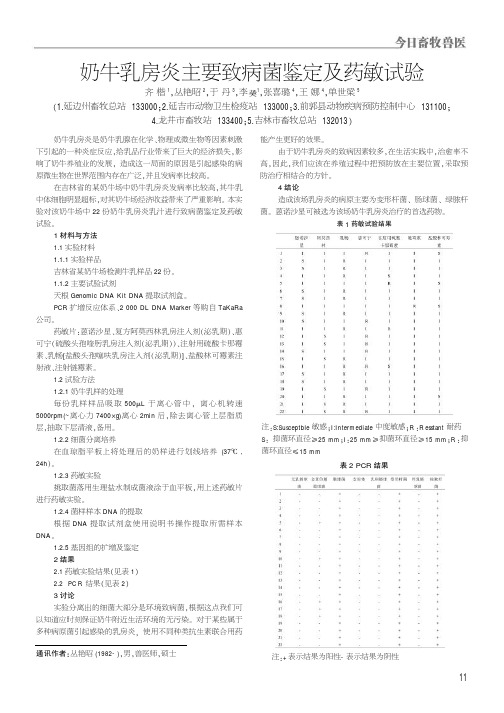 奶牛乳房炎主要致病菌鉴定及药敏试验