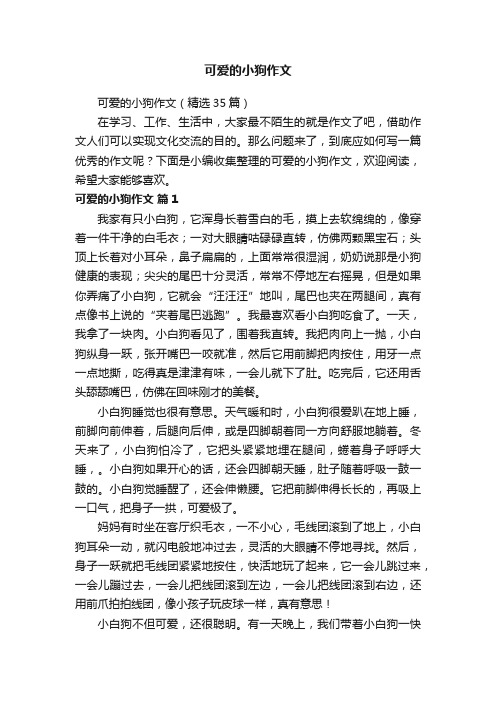 可爱的小狗作文（精选35篇）