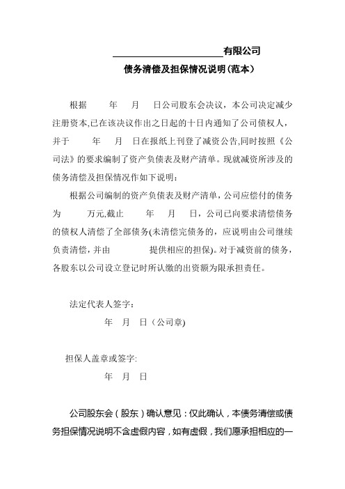 公司债务清偿及担保情况说明