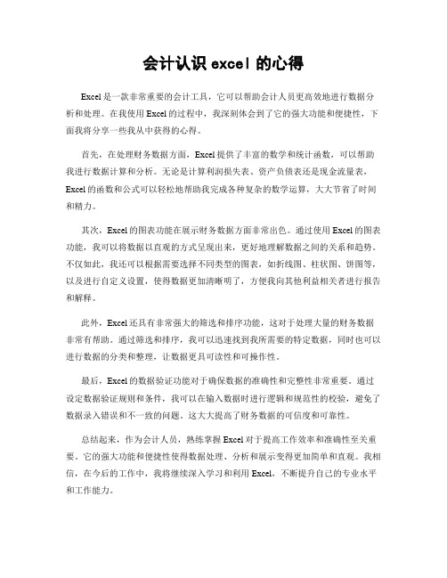 会计认识excel的心得