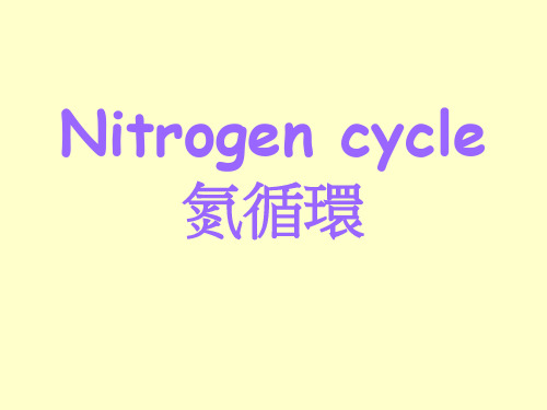 Nitrogen cycle氮循环