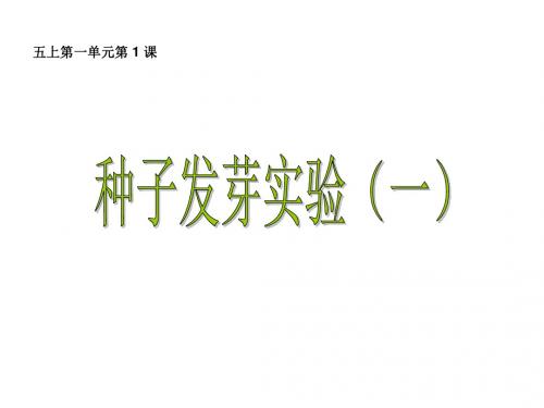 最新教科版小学科学五上PPT全册精品课件