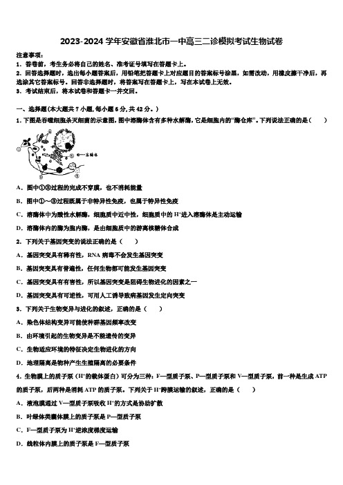 2023-2024学年安徽省淮北市一中高三二诊模拟考试生物试卷含解析