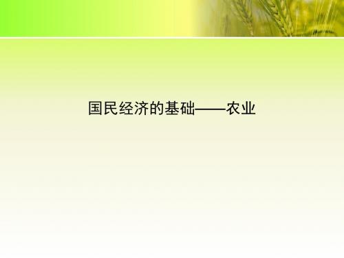 仁爱地理八年级上册第四章第一节 国民经济的基础——农业(共29张PPT)