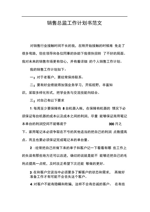 销售总监工作计划书范文