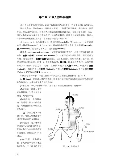 第二章 正常人体形态结构