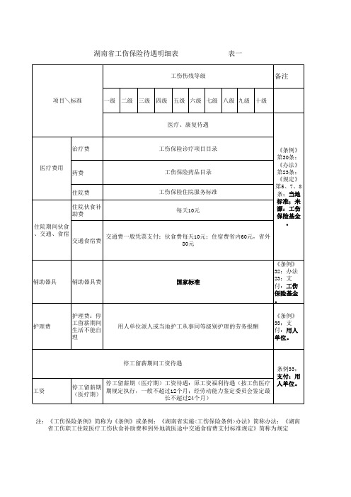 湖南省工伤保险待遇明细表