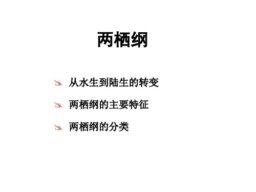 从水生到陆生的转变两栖纲的主要特征两栖纲的分类