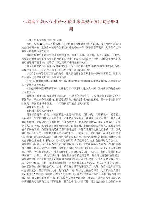 小狗磨牙怎么办才好----才能让家具安全度过狗子磨牙期