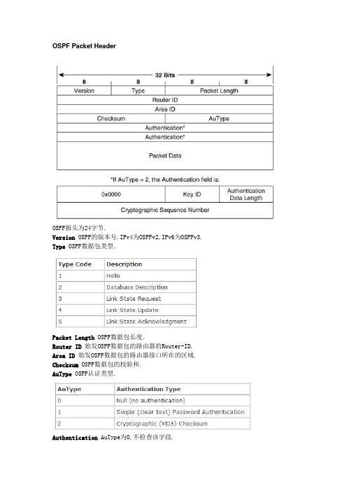 OSPF各种数据包结构解析Word版