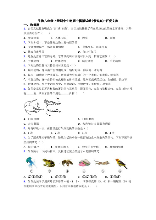 生物八年级上册期中生物期中模拟试卷(带答案)-百度文库