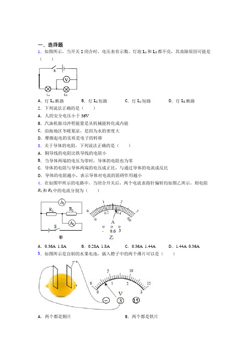 苏州新草桥中学初中物理九年级全册期中检测题(包含答案解析)