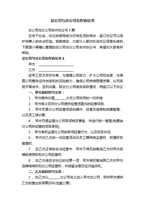 总公司与分公司合作协议书5篇