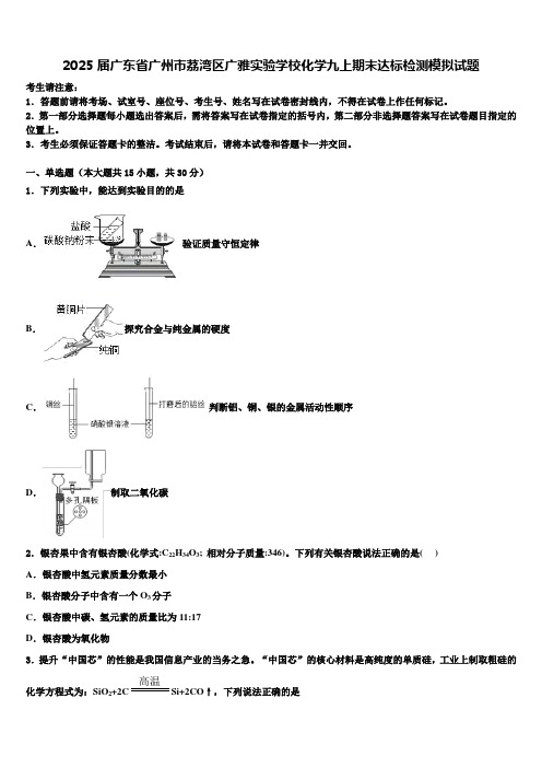 2025届广东省广州市荔湾区广雅实验学校化学九上期末达标检测模拟试题含解析