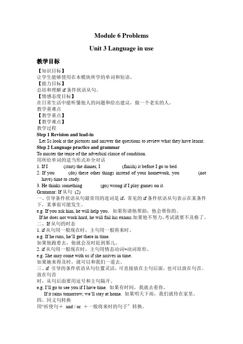 外研九上M6 Problems U3 教案