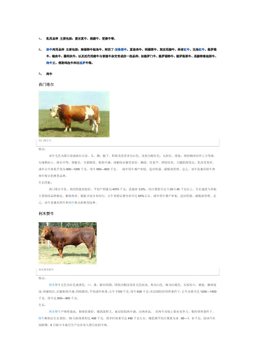 牛品种