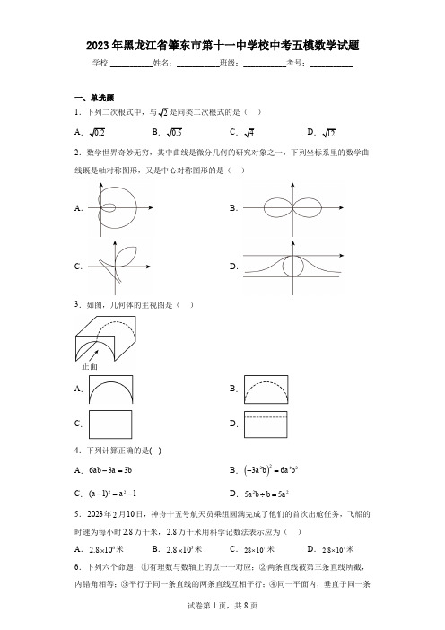 2023年黑龙江省肇东市第十一中学校中考五模数学试题