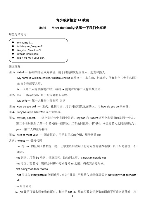 青少版新概念1A教案