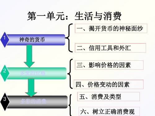 神奇的货币ppt课件7 通用