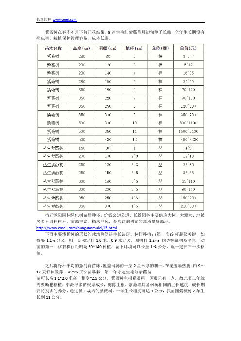 速生艳红紫薇苗