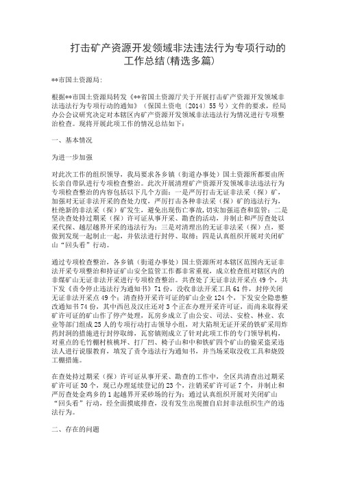 打击矿产资源开发领域非法违法行为专项行动的工作总结(精选多篇)