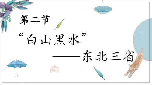 人教八下 地理 第六章 北方地区 第二节 白山黑水——东北三省(共16张PPT)