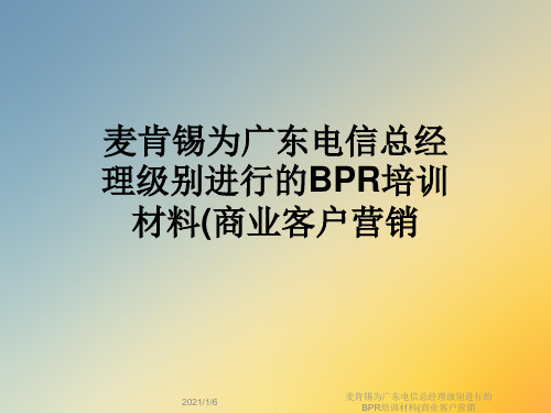 麦肯锡为广东电信总经理级别进行的BPR培训材料(商业客户营销