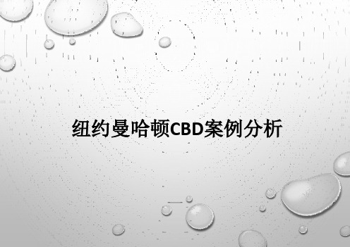 纽约曼哈顿CBD案例分析