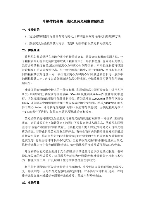 叶绿体的分离