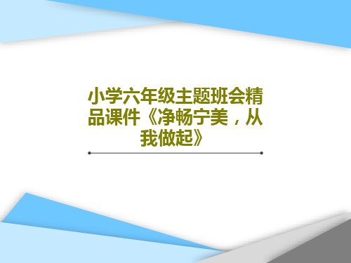 小学六年级主题班会精品课件《净畅宁美,从我做起》共31页文档