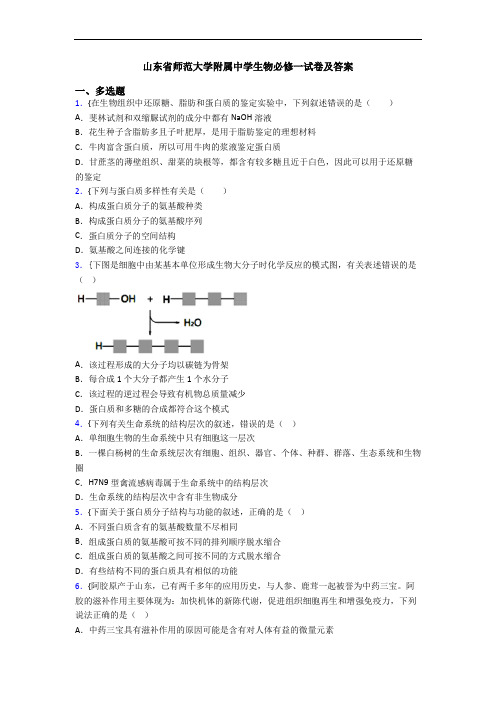 山东省师范大学附属中学生物必修一试卷及答案