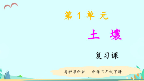 粤教粤科版小学科学三年级下册第1单元复习课件