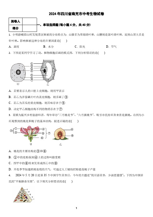 2024年四川省南充市中考生物试卷(含答案)