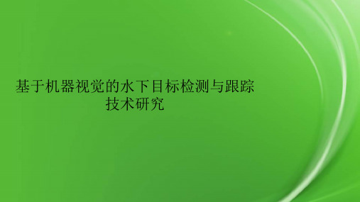 基于机器视觉的水下目标检测与跟踪技术研究