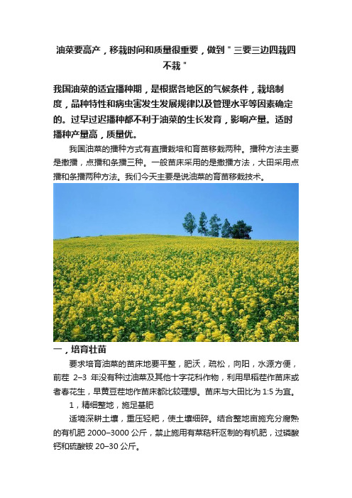 油菜要高产，移栽时间和质量很重要，做到＂三要三边四栽四不栽＂