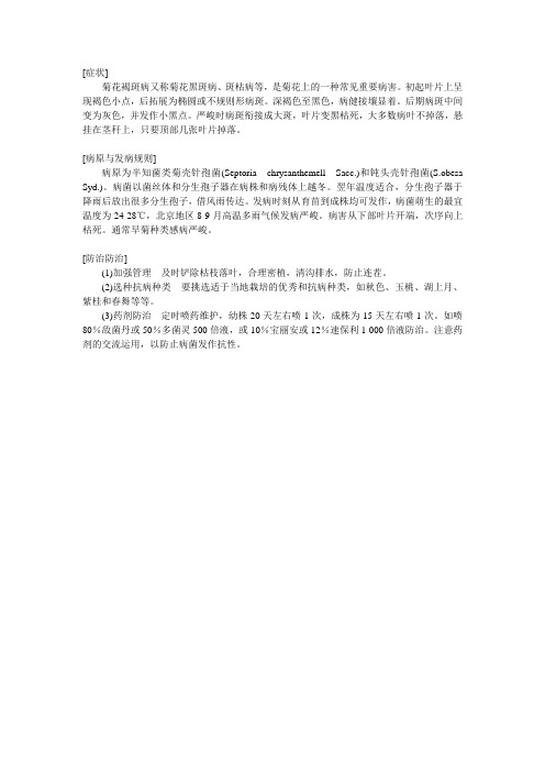 菊花褐斑病的症状及防治方法介绍