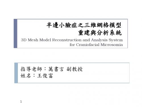 半边小脸症之三维网格模型重建与分析系统