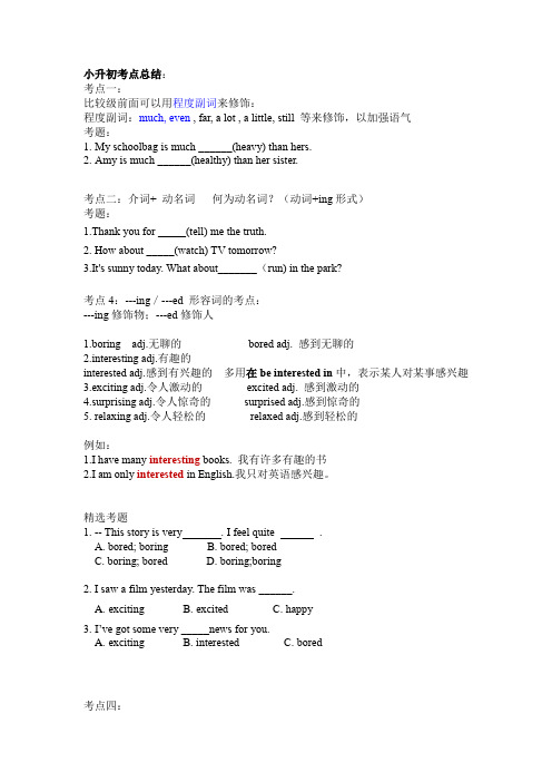 人教PEP版六年级下册英语素材 小升初考点总结 