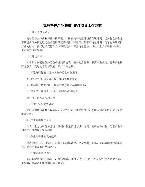 优势特色产业集群 建设项目工作方案