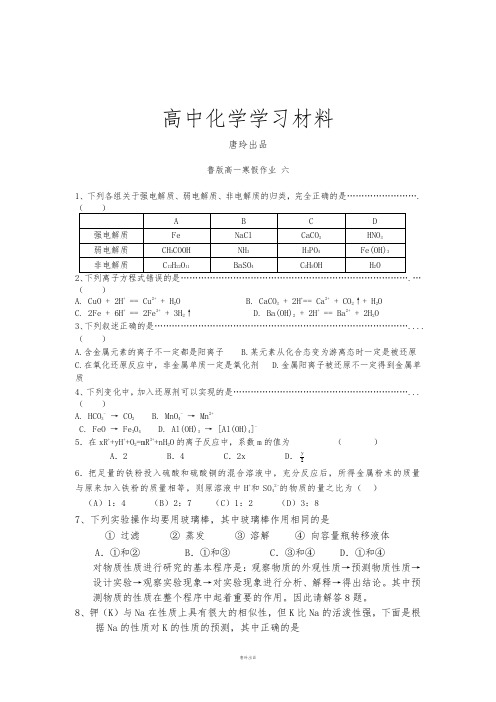 鲁科版高中化学必修一高一化学寒假作业6.docx