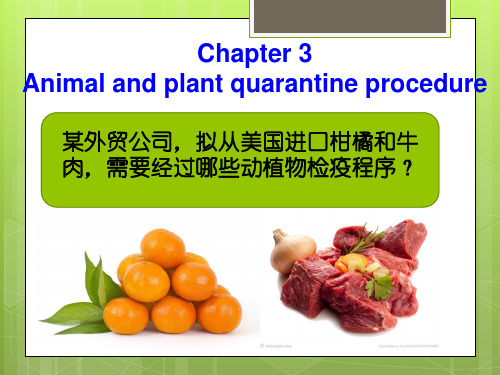 第3章 动植物检疫程序