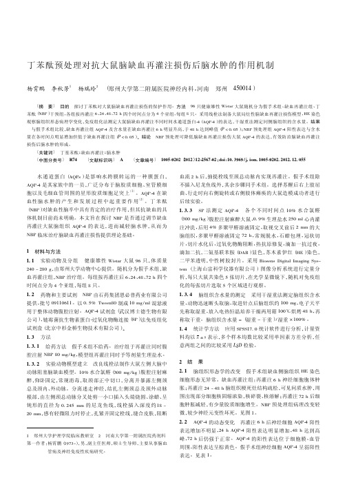 丁苯酞预处理对抗大鼠脑缺血再灌注损伤后脑水肿的作用机制